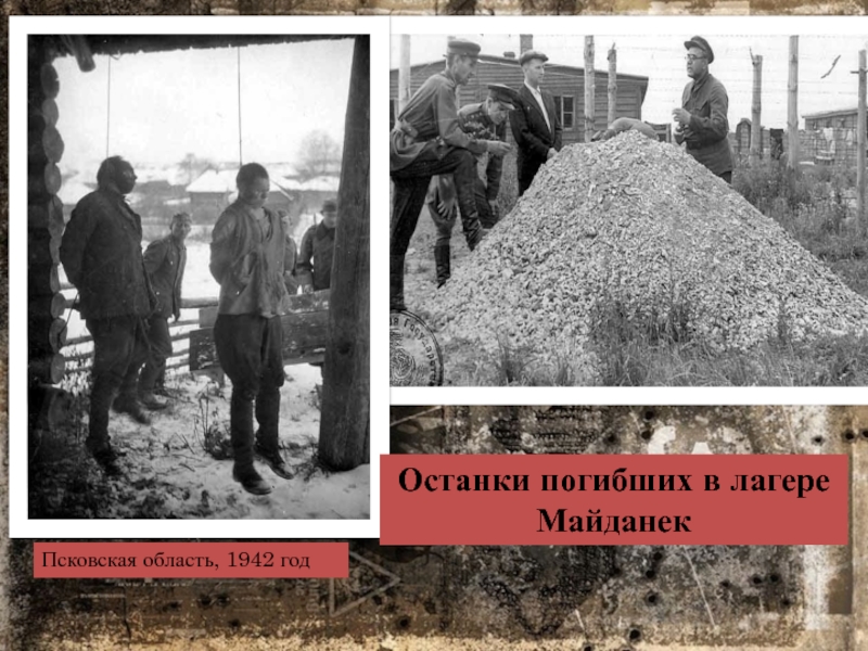 Псковская область, 1942 годОстанки погибших в лагере Майданек