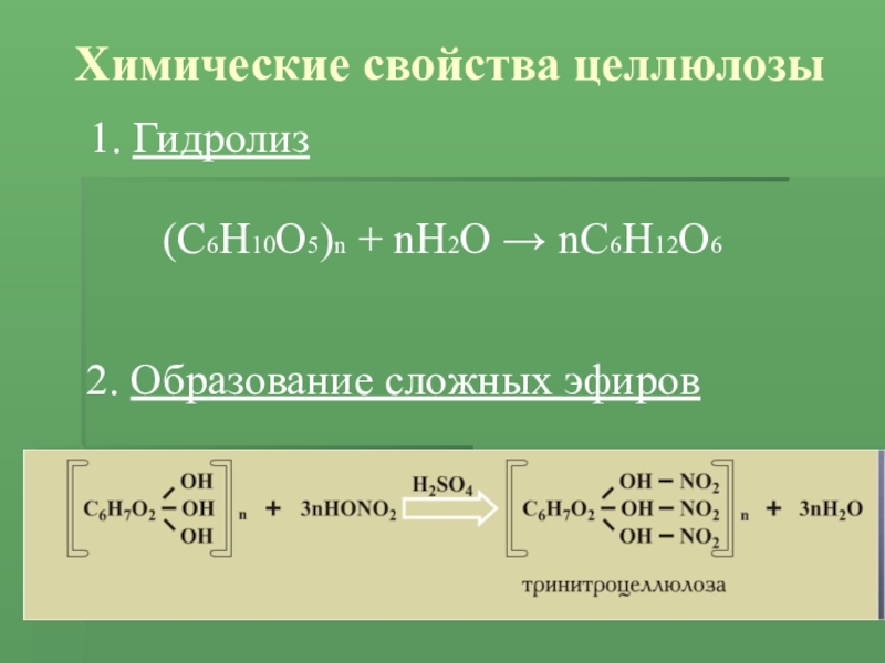 Презентация по химии на тему целлюлоза