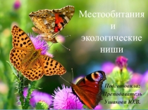Презентация по биологии на тему Местообитания и экологические ниши