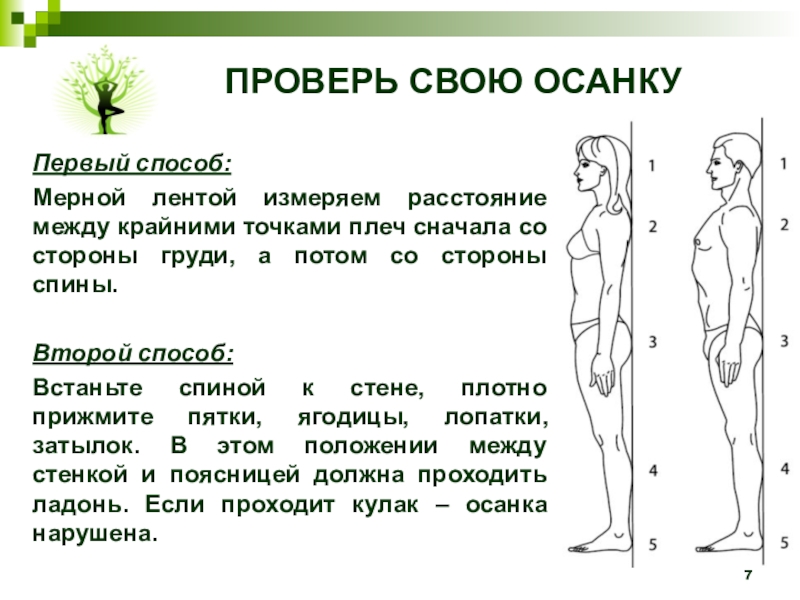 Точка нарушение. Проверка правильной осанки. Как правильно определить осанку. Способы проверки осанки. Как определить осанку человека.