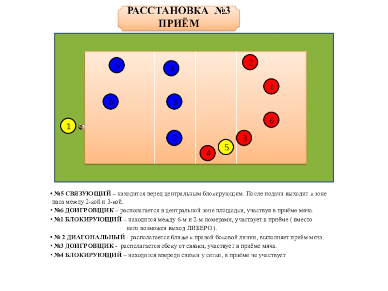 5 1 волейбол схема