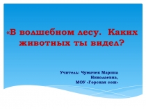 Презентация к занятию внеурочной деятельности в 1 классе на тему В волшебном лесу. Каких животных ты видел?