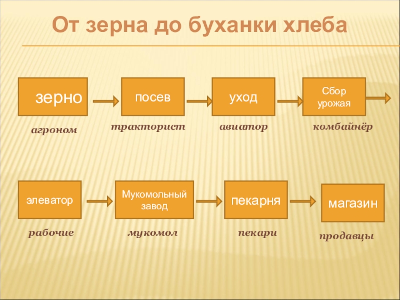 зерноМукомольный заводпекарнямагазинСбор урожаяуходпосевэлеваторагрономтракториставиаторкомбайнёррабочиемукомолпекарипродавцыОт зерна до буханки хлеба