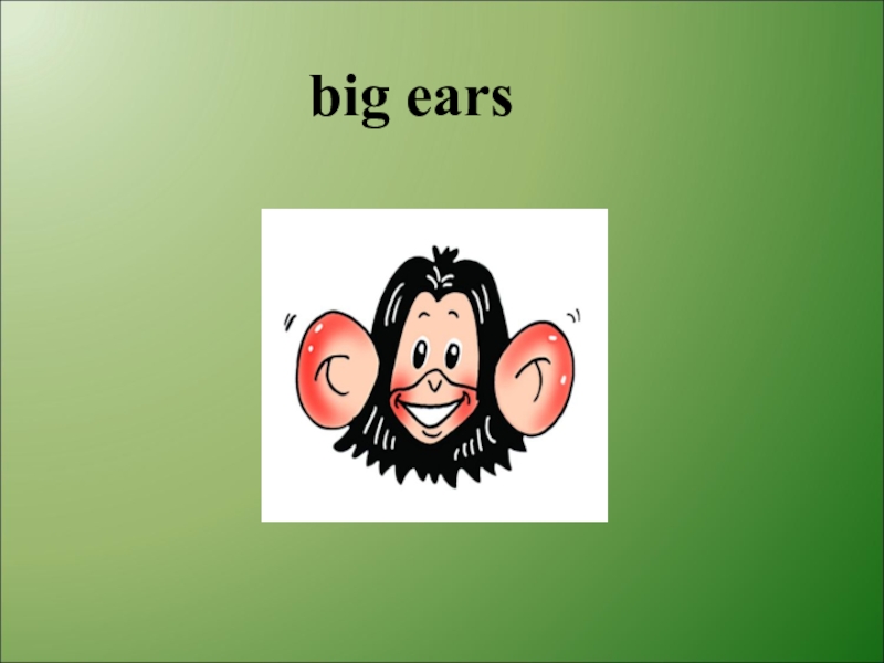 He s got big ears. Английский язык big Ears. Big Ears транскрипция. Have got big Ears. It has got big Ears.