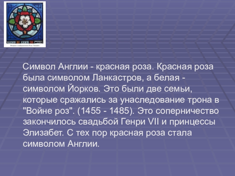 Суть символов. Символ Англии красная роза. Что символизирует красная роза в Англии. Почему символ Великобритании красная роза. Почему роза символ Англии.