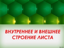 Презентация по биологииЛист 6 класс