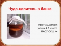 Исследовательская работа Чудо-целитель в банке.