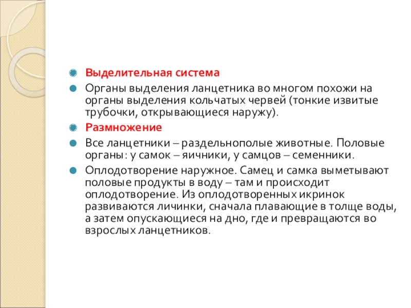 Выделительная системаОрганы выделения ланцетника во многом похожи на органы выделения кольчатых червей (тонкие извитые трубочки, открывающиеся наружу).РазмножениеВсе