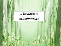 Презентация Загадки о животных