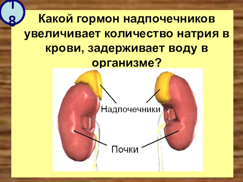 Таблетки для надпочечников