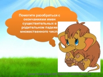 Окончания имен существительных множественного числа в родительном падеже. Тренажер. 4 класс.