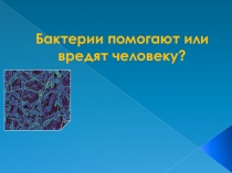 Презентация  Бактерии помогают или вредят