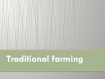 Презентация по английскому языку Traditional farming