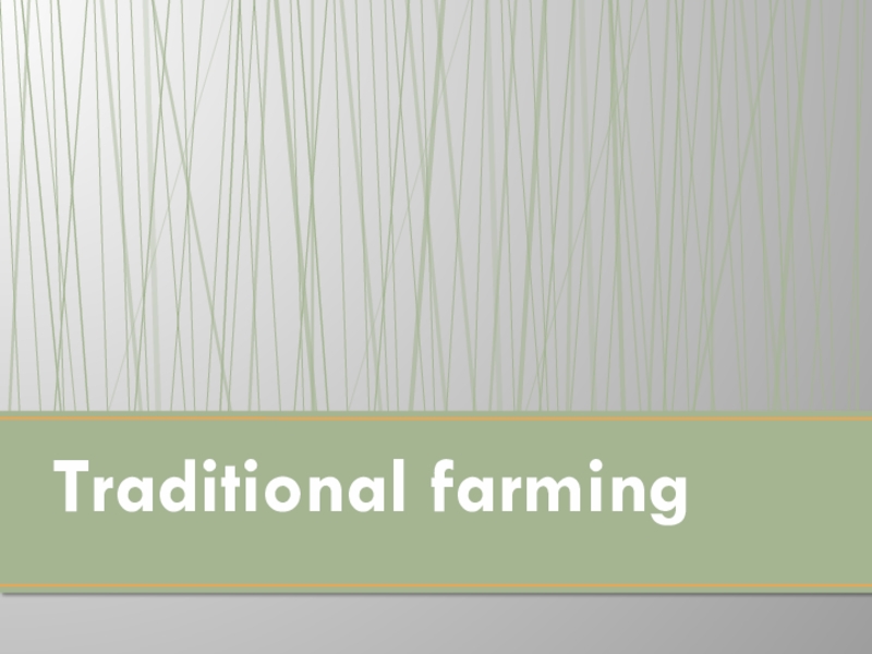 Презентация Презентация по английскому языку Traditional farming