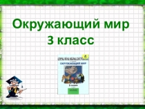 Презентация по окружающему миру Разнообразие растений 3 класс