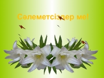 Урок с презентацию по казахскому языку Адамның дене мүшелері 5 класс