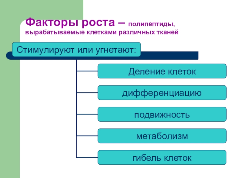 Фактор ткани. Факторы роста клеток. Факторы роста биохимия. Факторы роста биология. Факторы роста строение.