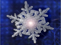 Презентация Зима к уроку Времена года