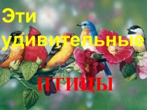 Презентация по биологии Эти удивительные птицы