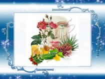 Презентация урока по декоративной косметике и гриму Косметический уход за кожей губ в зимнее время года