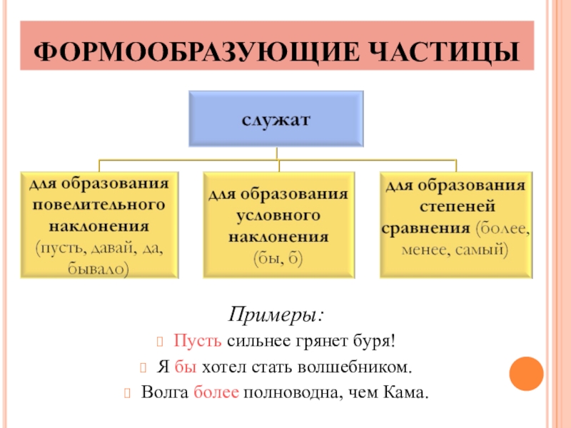 Презентация по теме частица