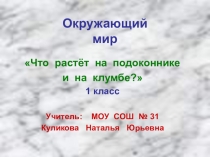 Презентация по окружающему миру на тему:Что растет на подоконнике?