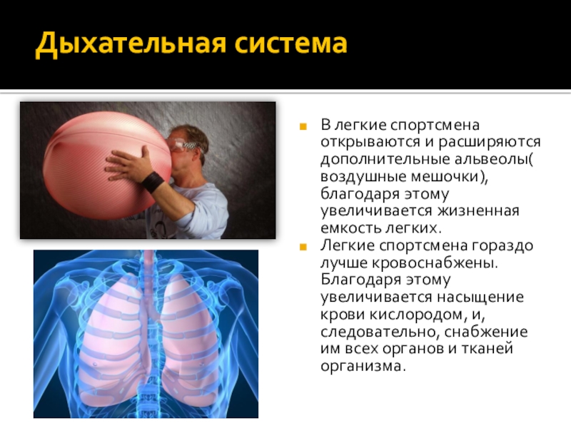 Емкость легких спортсменов. Влияние спорта на дыхательную систему. Дыхательная сисетемаспортсменов. Дыхание спортсмена легкие. Легкие спортсмена и обычного человека.