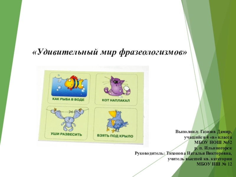 Презентация на тему удивительный мир фразеологизмов - 81 фото