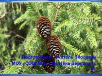 Презентация по биолоии на тему: Голосменные.