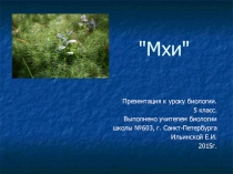 Презентация к уроку биологии на тему Мхи (5 класс)