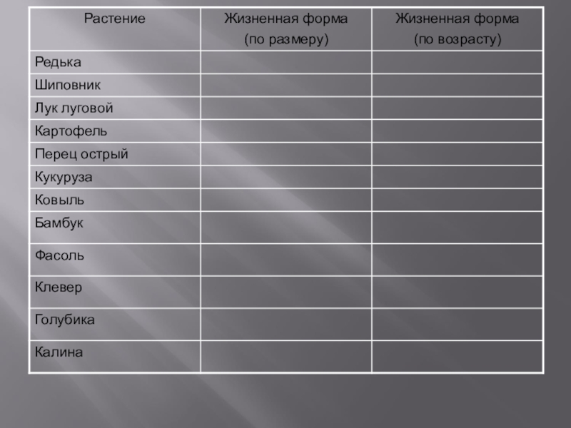 Какую жизненную форму. Жизненная форма по размеру редька. Лук Луговой жизненная форма по размеру. Лук Луговой жизненная форма по возрасту. Редька жизненная форма по размеру и по возрасту.