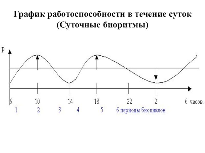 В тексте описана классификация биологических ритмов на основе текста заполни схему отражающую