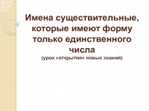 Презентация по русскому языку на тему  Имена существительные, которые имеют форму только единственного числа