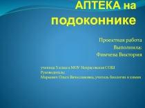 Проектная работа по биологии Аптека на подоконнике