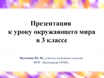 Осенние изменения в растительном и животном мире