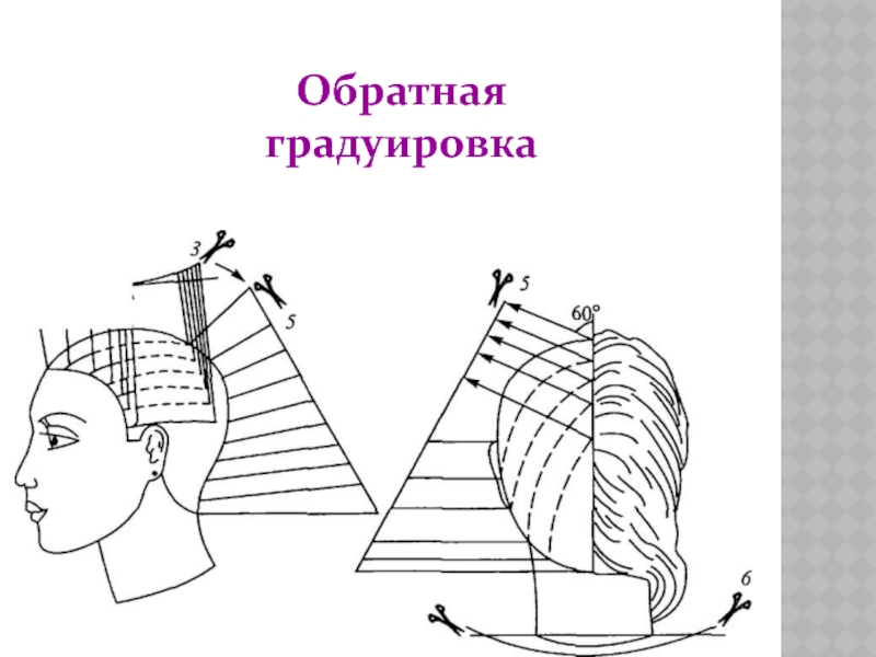 Метод градуировка. Техника стрижки градуированного каскада.