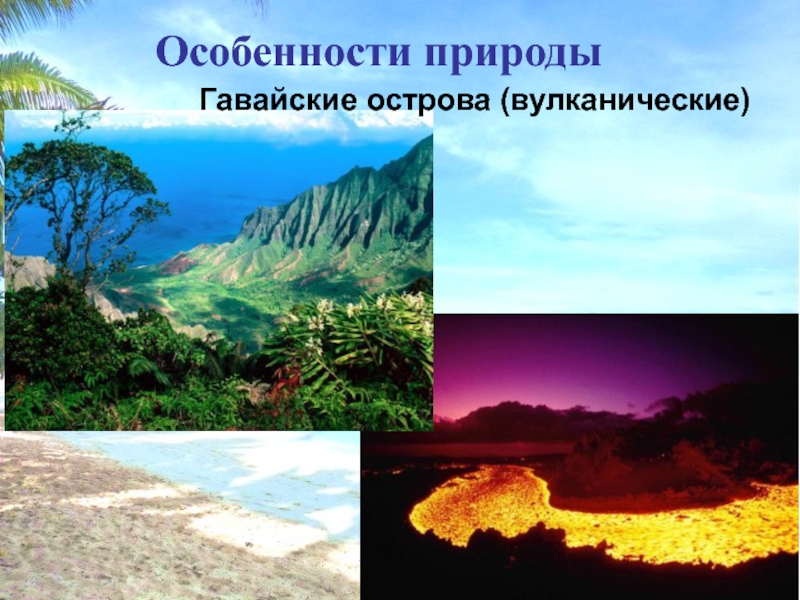 Особенности природы Гавайские острова (вулканические)