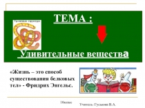 Презентация по химии в 10 классе по теме  Белки