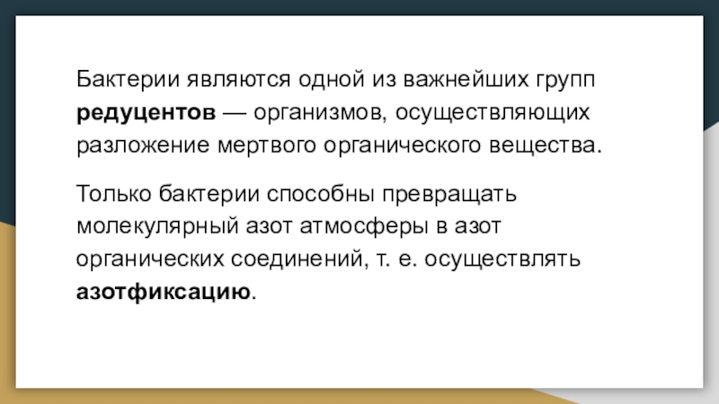 Бактерии являются одной из важнейших групп редуцентов — организмов, осуществляющих разложение мертвого органического вещества.Только бактерии способны превращать