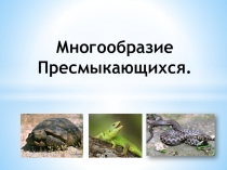 Презентация по биологии Многообразие пресмыкающихся (7 класс)