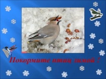 Презентация экологического проекта Покормите птиц зимой