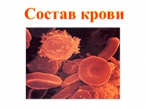Презентация по биологии Кровь