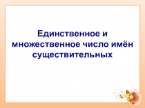 Презентация по русскому языку на тему Единственное и множественное число существительных
