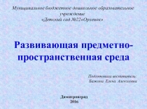 Презентация Организация развивающей предметно-пространственной среды в соответствии с ФГОС