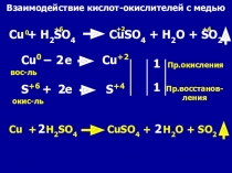 Презентация к уроку по теме Взаимодействие кислот-окислителей с металлами