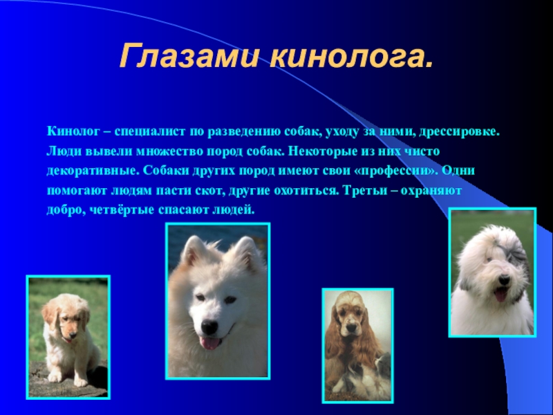 Презентация про собак 2 класс. Породы собак для кинологии. Профессии собак презентация. Кинолог презентация. Кинология презентация.