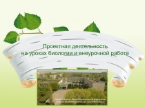 Презентация  Проектная деятельность