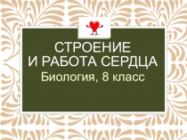 Строение и работа сердца (8 класс)