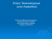 Презентация к уроку Многообразие Земноводных, 7 класс