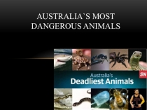 Australia`s most dangerous animals